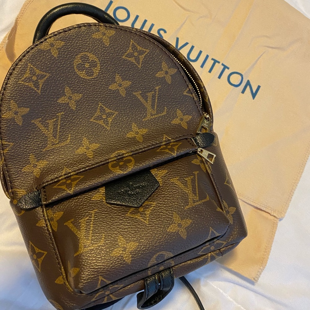 Louis Vuitton mini Palm Springs